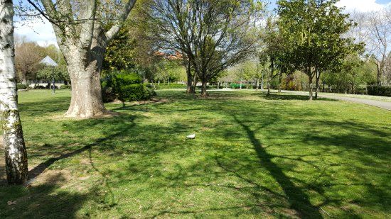 Parque De Quevedo